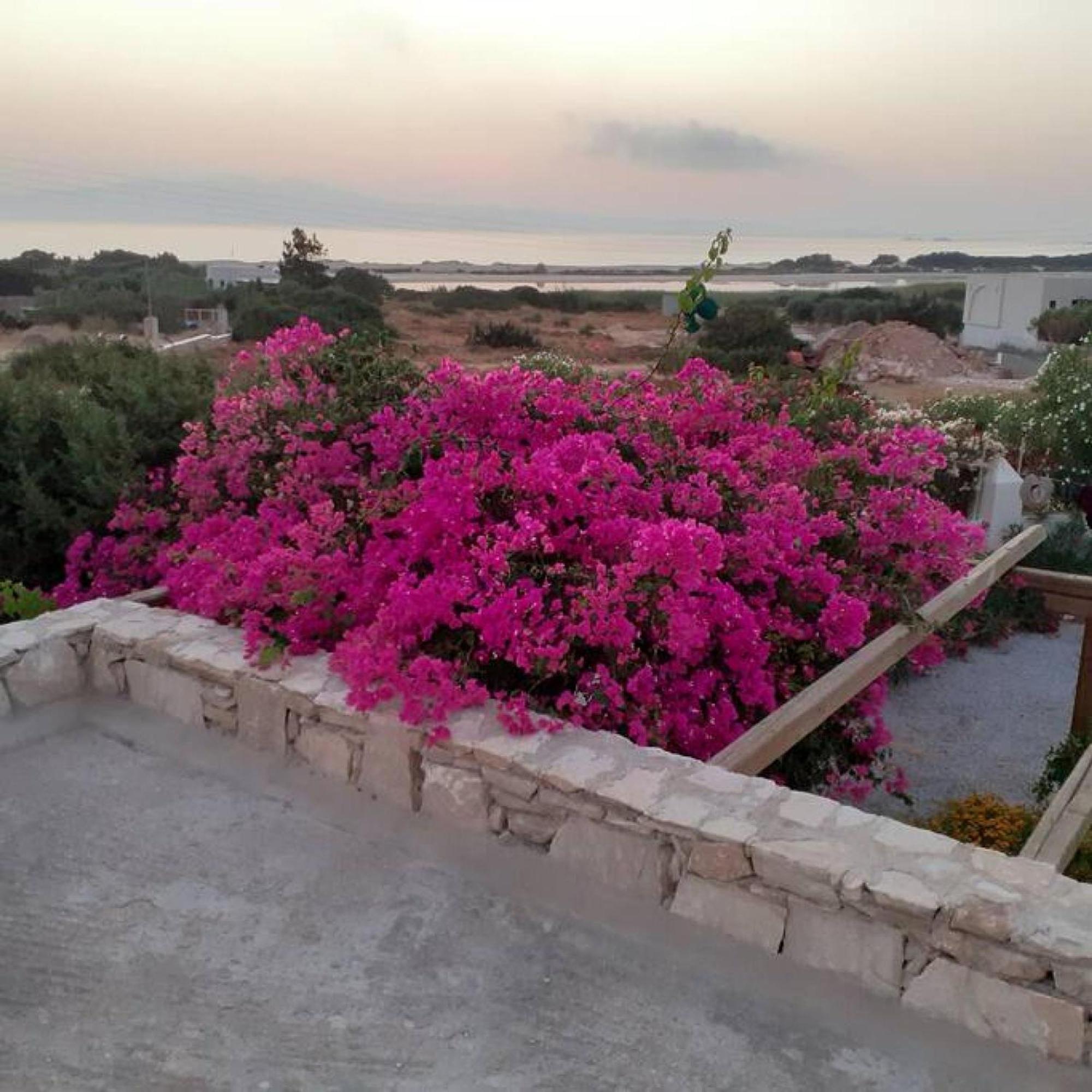 Naxos Alyko Traditional Vacation House "Mitatos" Aliko Beach Zewnętrze zdjęcie